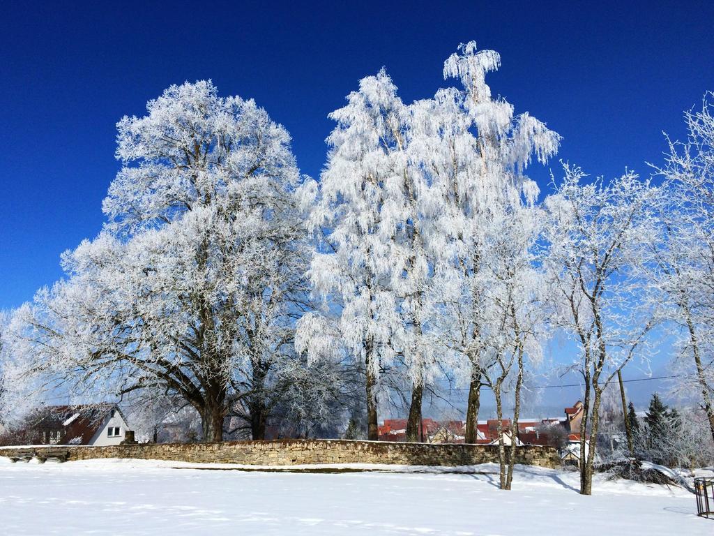 Ferienwohnung Ahorn Hohenstein  Esterno foto